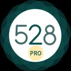 528 Player Pro Mod