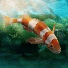 Aquarium Designer Mod Mod