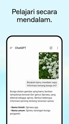 chatgpt mod apk 4 225x400